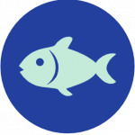 Pescado