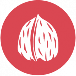 Cáscara