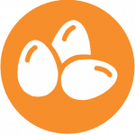 Huevos