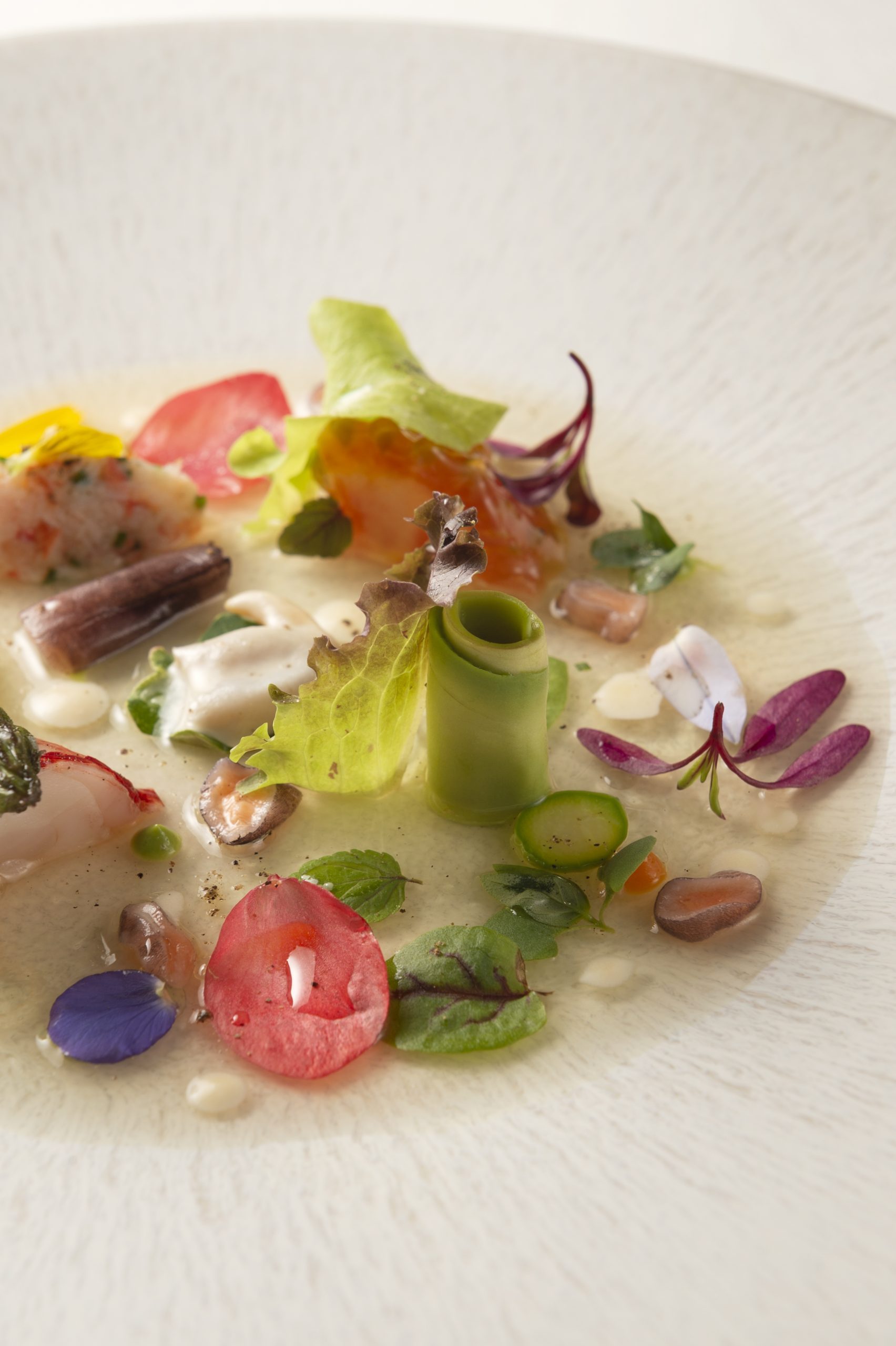 gastro00008
